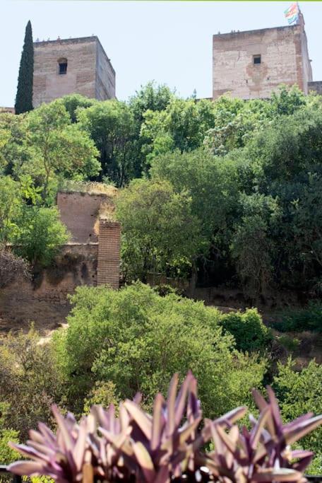 Alhambra Enamora 1 -Paseo De Los Tristes View 1 -C Granada Buitenkant foto